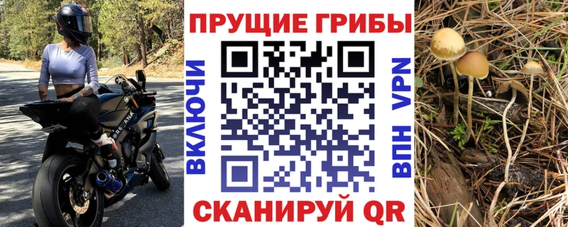 Псилоцибиновые грибы Psilocybine cubensis  Чёрмоз 